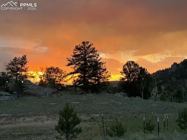 206 Emerald Way Lake George, CO 80827