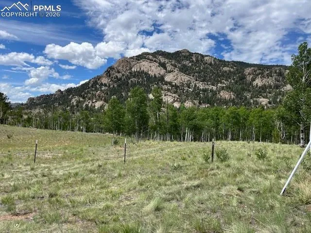 206 Emerald Way Lake George, CO 80827