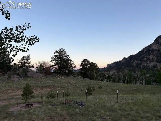206 Emerald Way Lake George, CO 80827