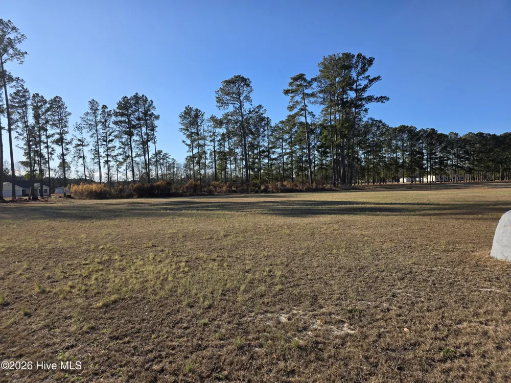 183 Ladybell Drive Orrum, NC 28369