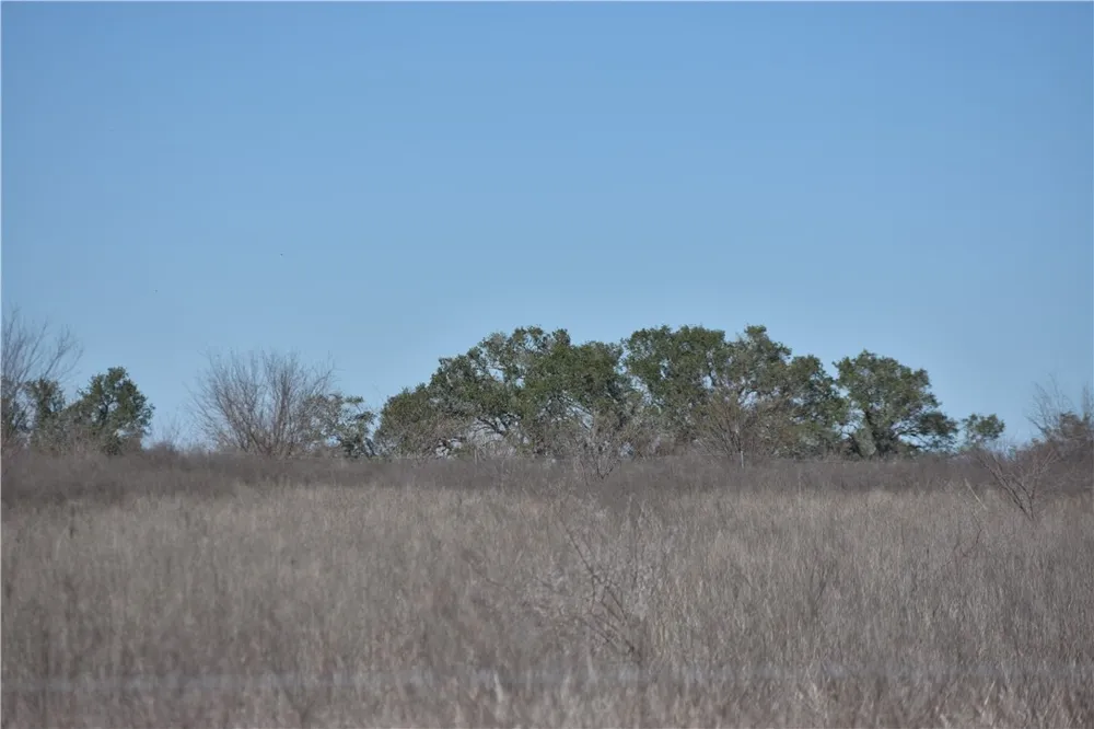 24 Jackson Road Refugio, TX 78377