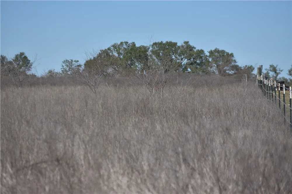24 Jackson Road Refugio, TX 78377