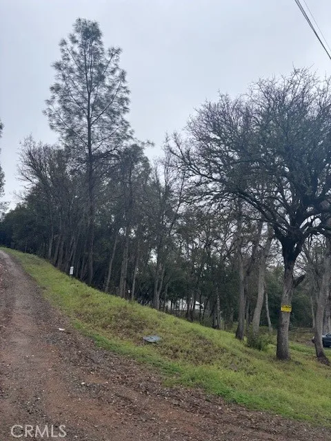 5877 Armijo