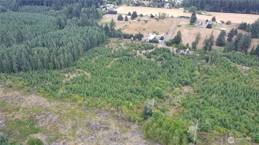 196 Allman Road Winlock, WA 98596