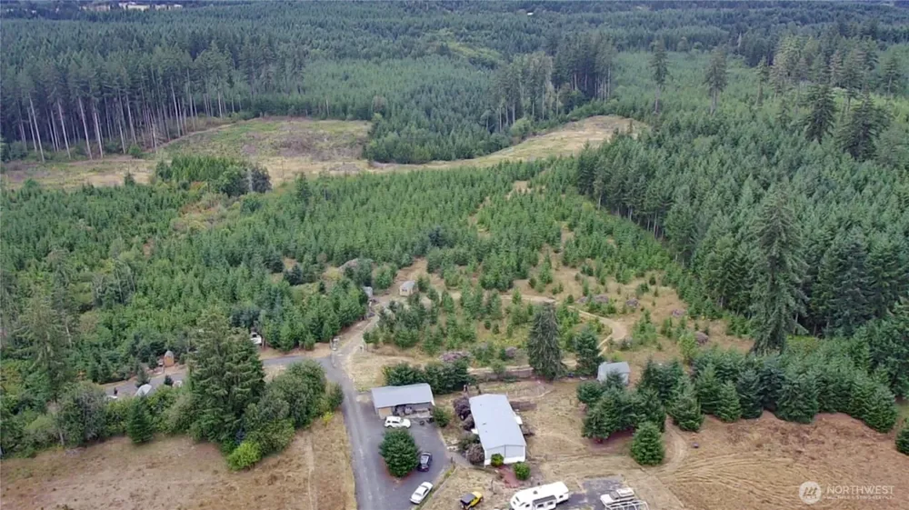 196 Allman Road Winlock, WA 98596