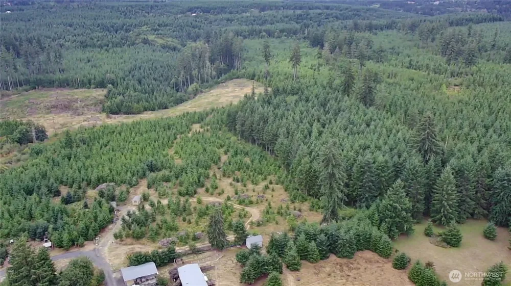 196 Allman Road Winlock, WA 98596