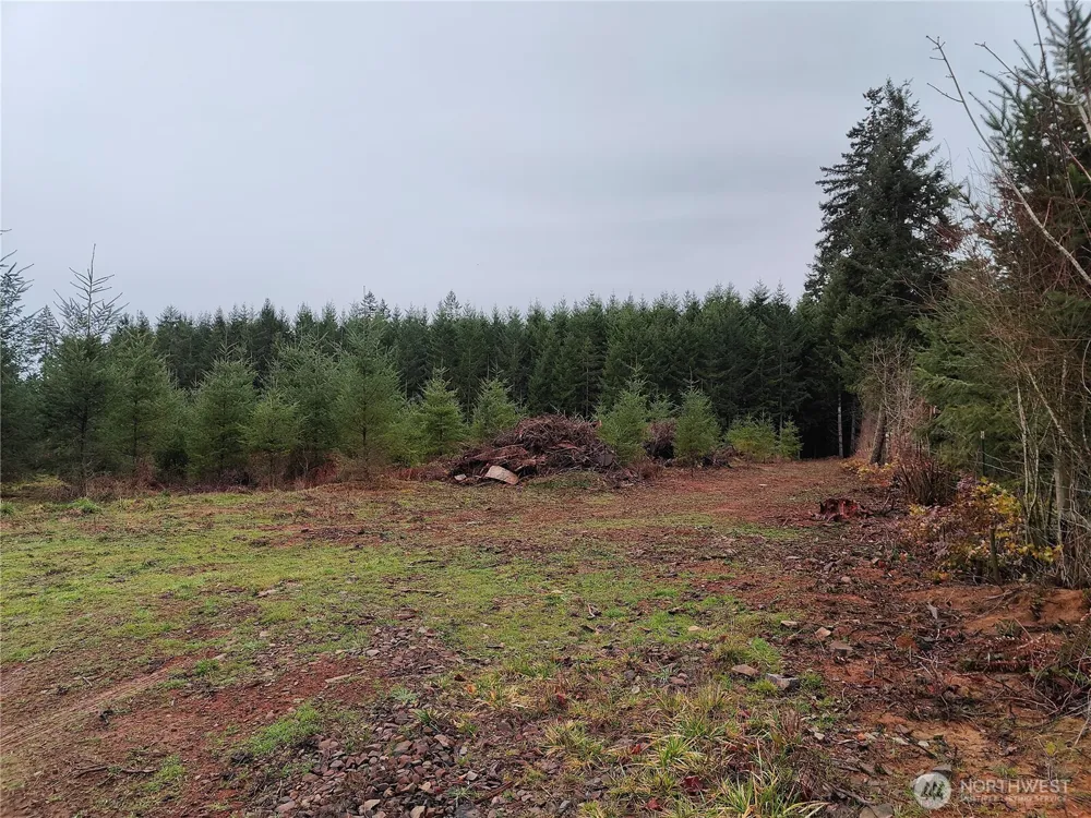 196 Allman Road Winlock, WA 98596
