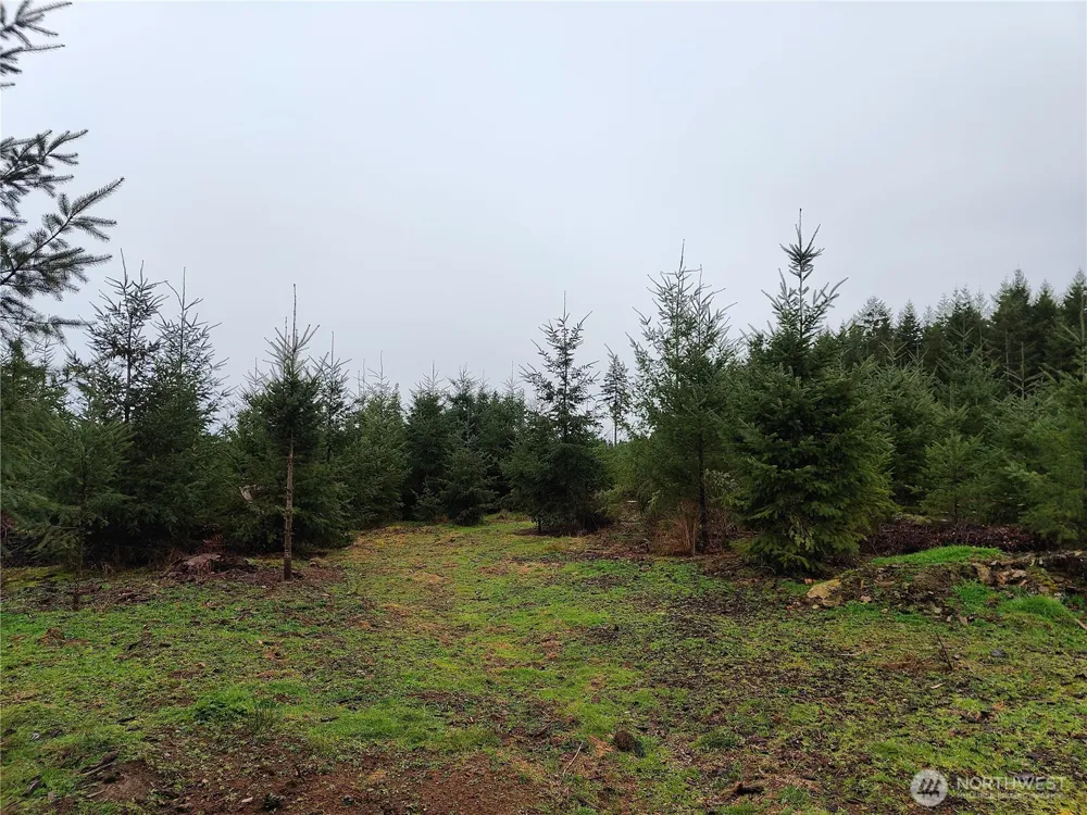 196 Allman Road Winlock, WA 98596