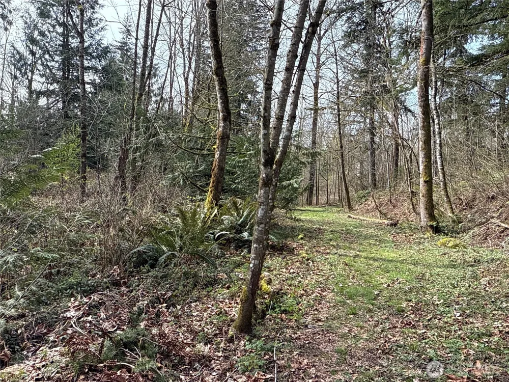 22 XXX 212th Avenue SE Maple Valley, WA 98038