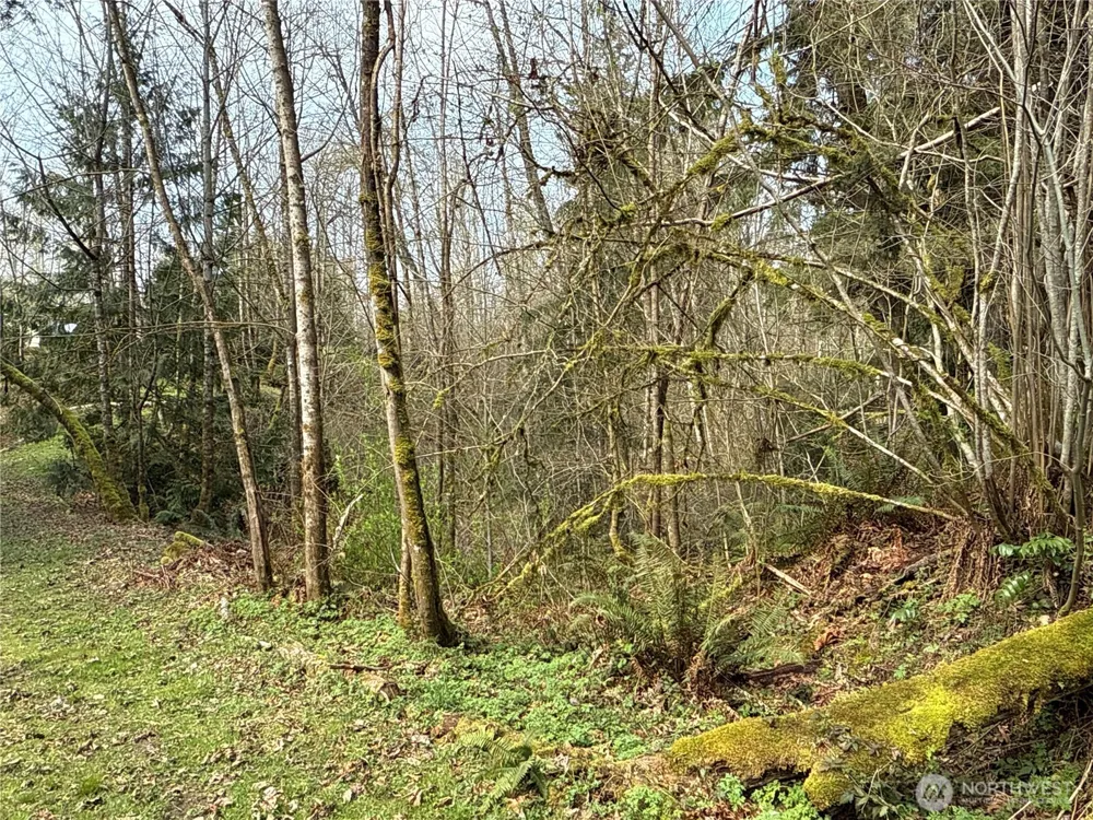 22 XXX 212th Avenue SE Maple Valley, WA 98038
