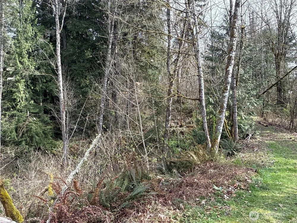 22 XXX 212th Avenue SE Maple Valley, WA 98038