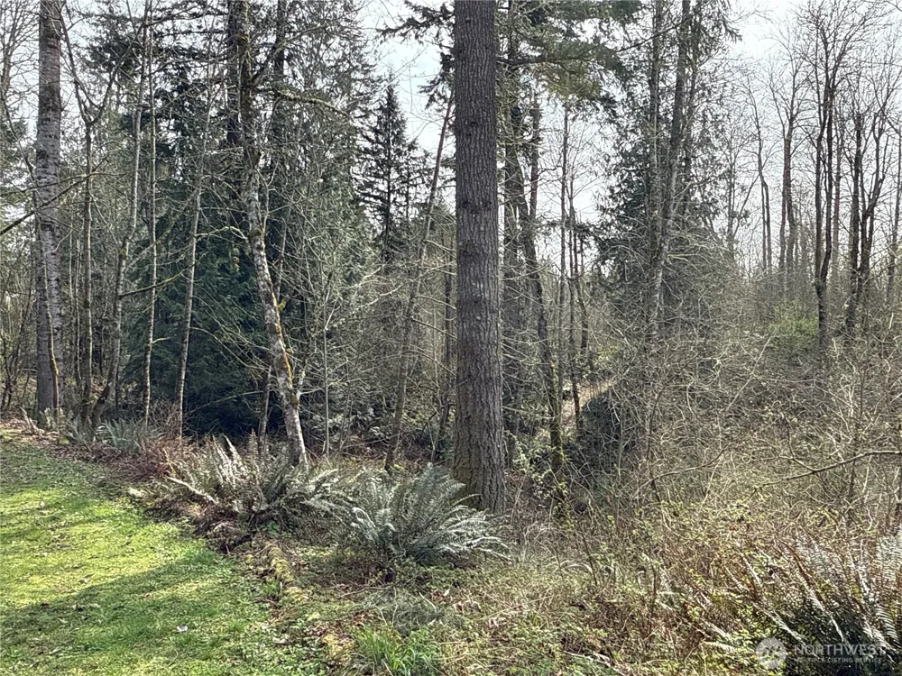 22 XXX 212th Avenue SE Maple Valley, WA 98038