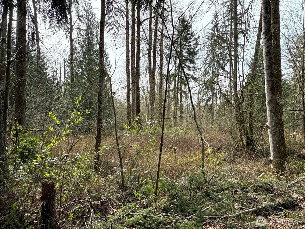 22 XXX 212th Avenue SE Maple Valley, WA 98038