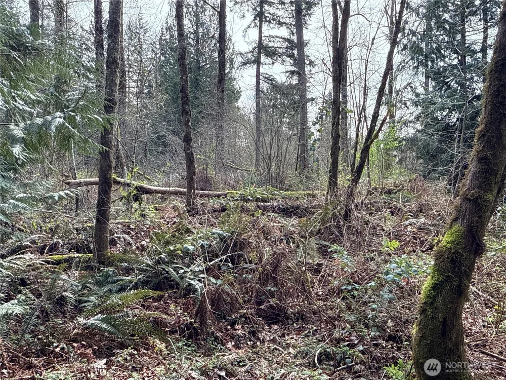 22 XXX 212th Avenue SE Maple Valley, WA 98038