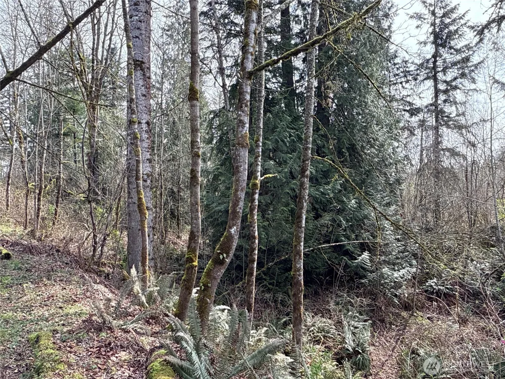 22 XXX 212th Avenue SE Maple Valley, WA 98038