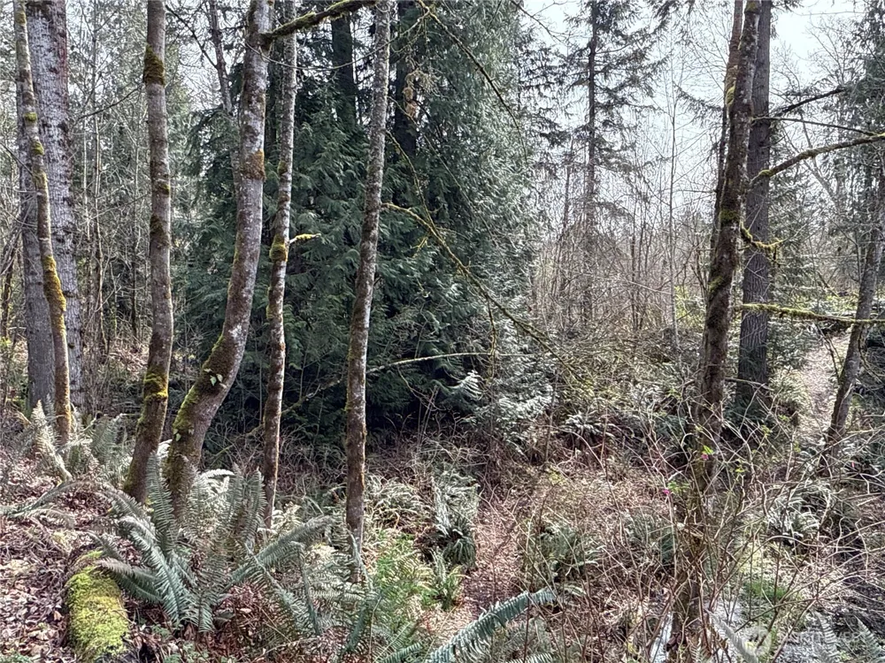 22 XXX 212th Avenue SE Maple Valley, WA 98038