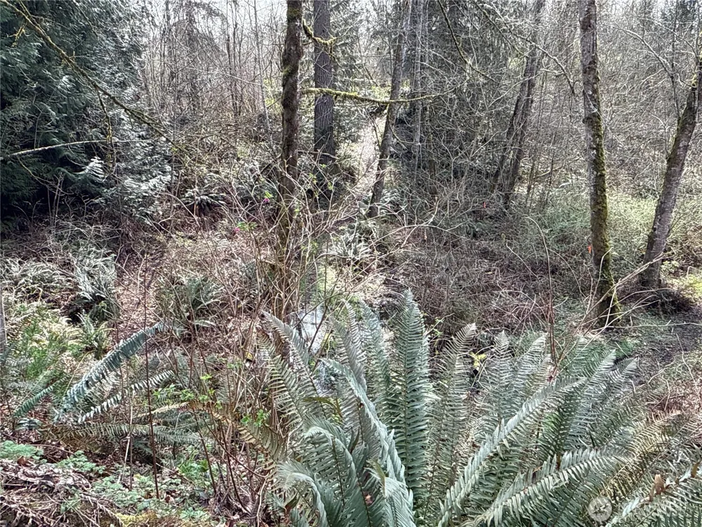 22 XXX 212th Avenue SE Maple Valley, WA 98038