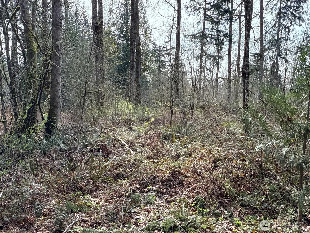 22 XXX 212th Avenue SE Maple Valley, WA 98038