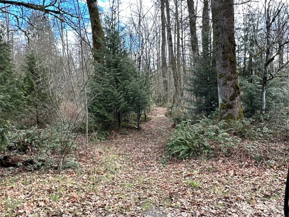 22 XXX 212th Avenue SE Maple Valley, WA 98038