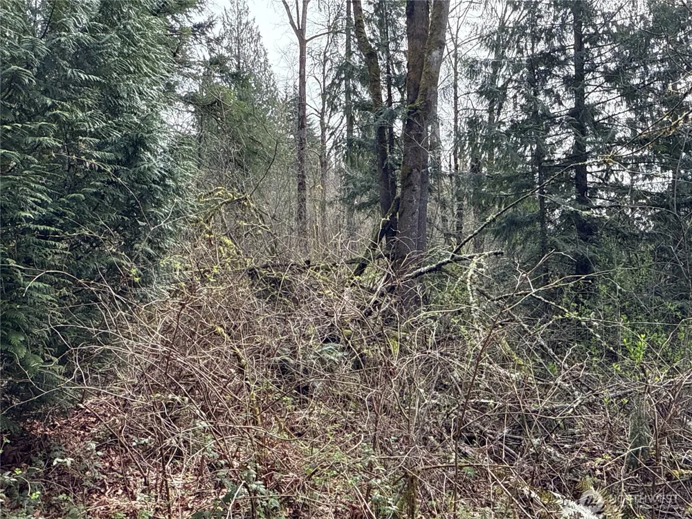 22 XXX 212th Avenue SE Maple Valley, WA 98038