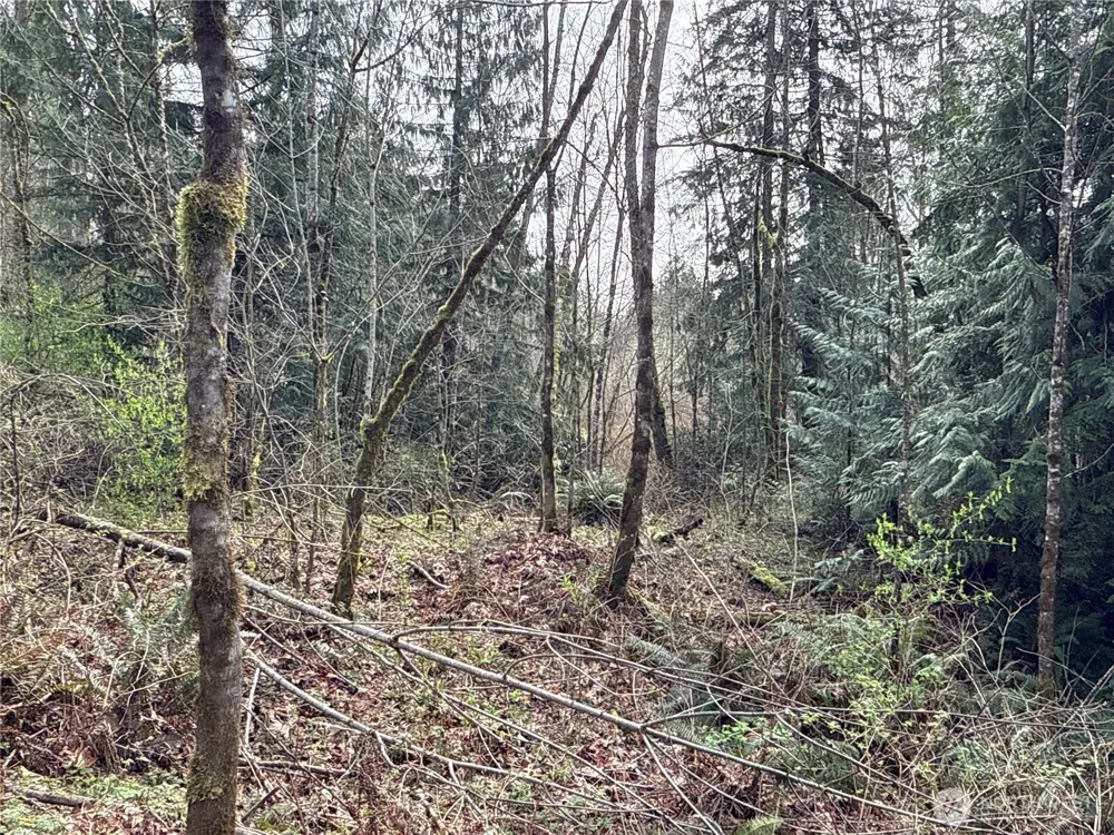 22 XXX 212th Avenue SE Maple Valley, WA 98038