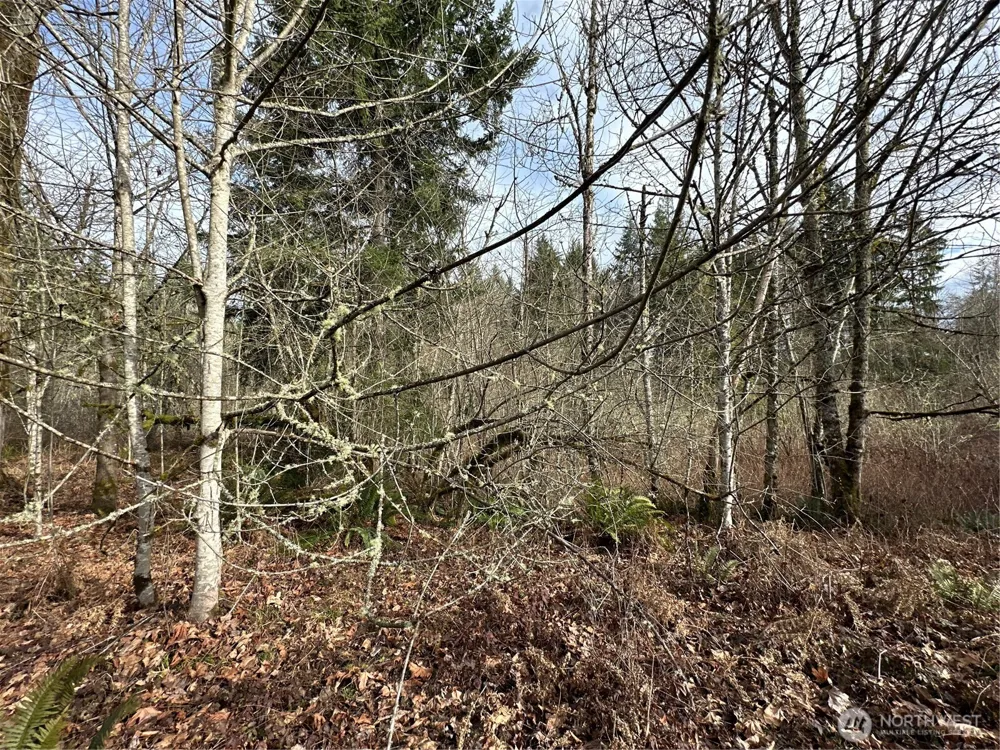 22 XXX 212th Avenue SE Maple Valley, WA 98038