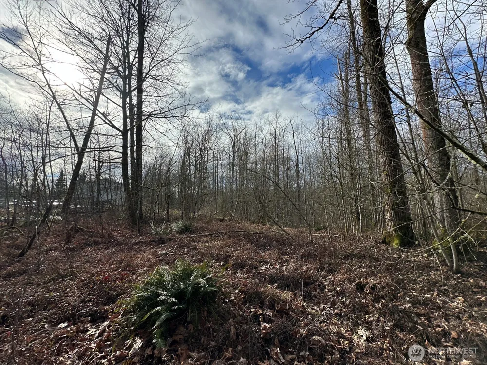 22 XXX 212th Avenue SE Maple Valley, WA 98038