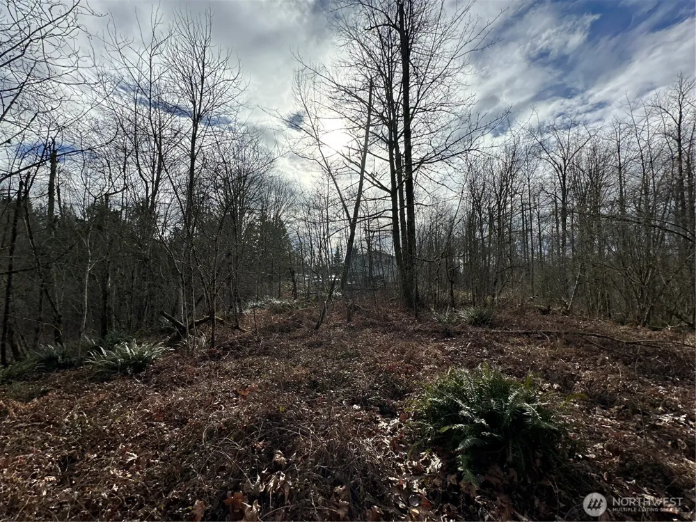 22 XXX 212th Avenue SE Maple Valley, WA 98038