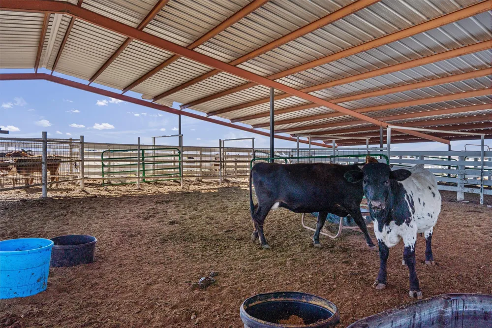 5300 County Road 424 Taylor, TX 76574