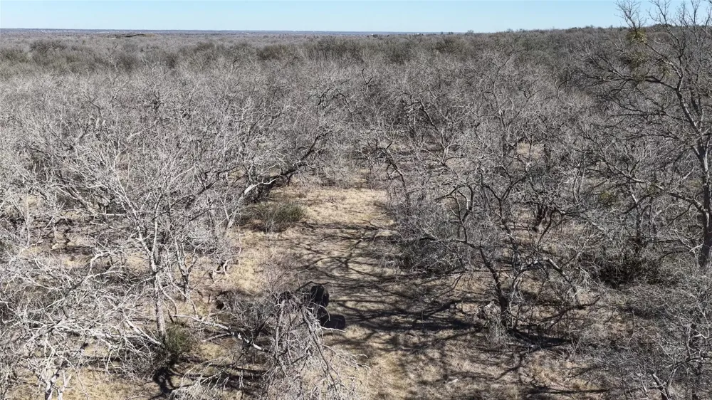 Lytton Lane Dale, TX 78616