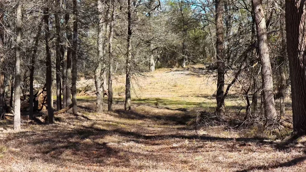 Lytton Lane Dale, TX 78616