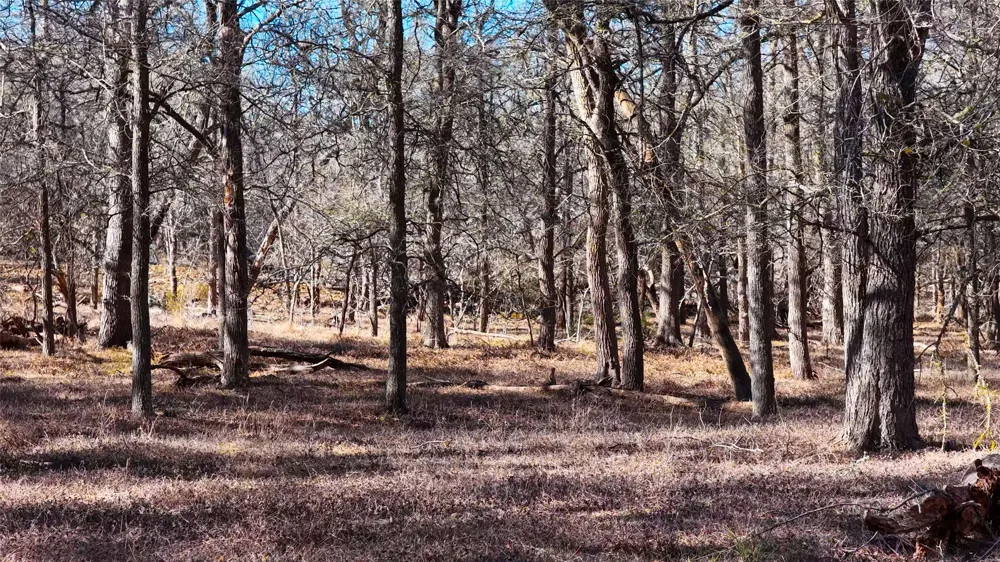Lytton Lane Dale, TX 78616