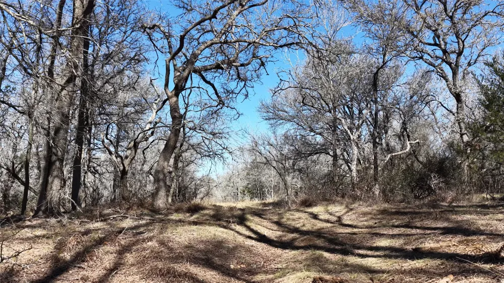 Lytton Lane Dale, TX 78616