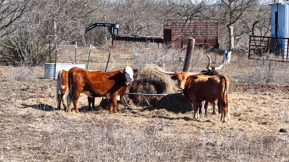 Lytton Lane Dale, TX 78616