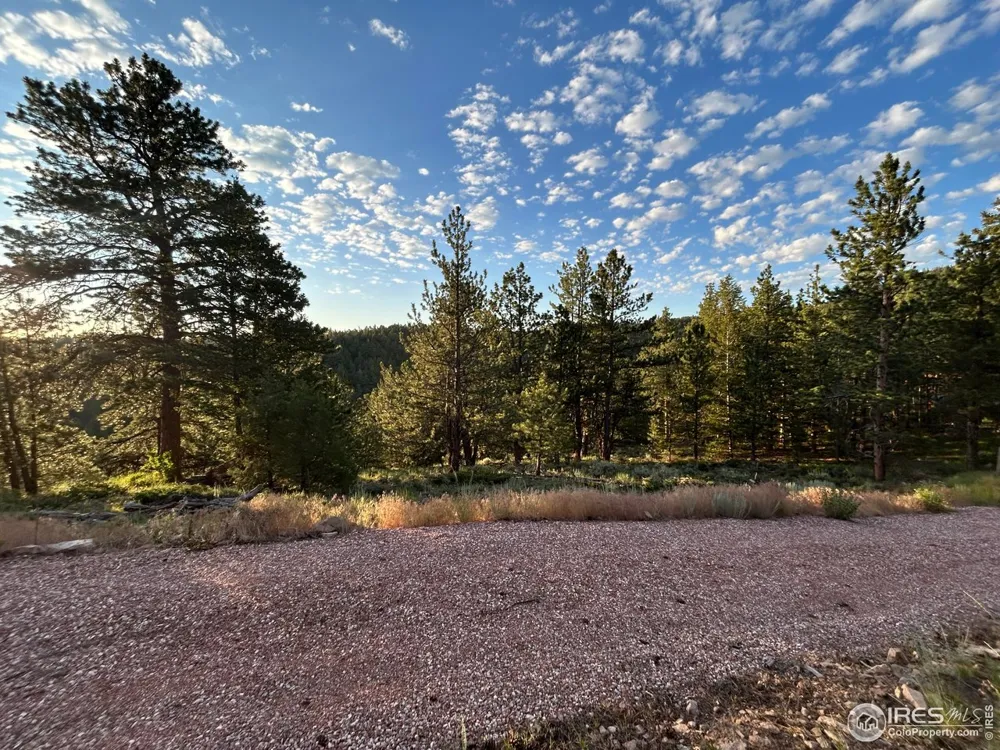 416 Comanche Circle Red Feather Lakes, CO 80545