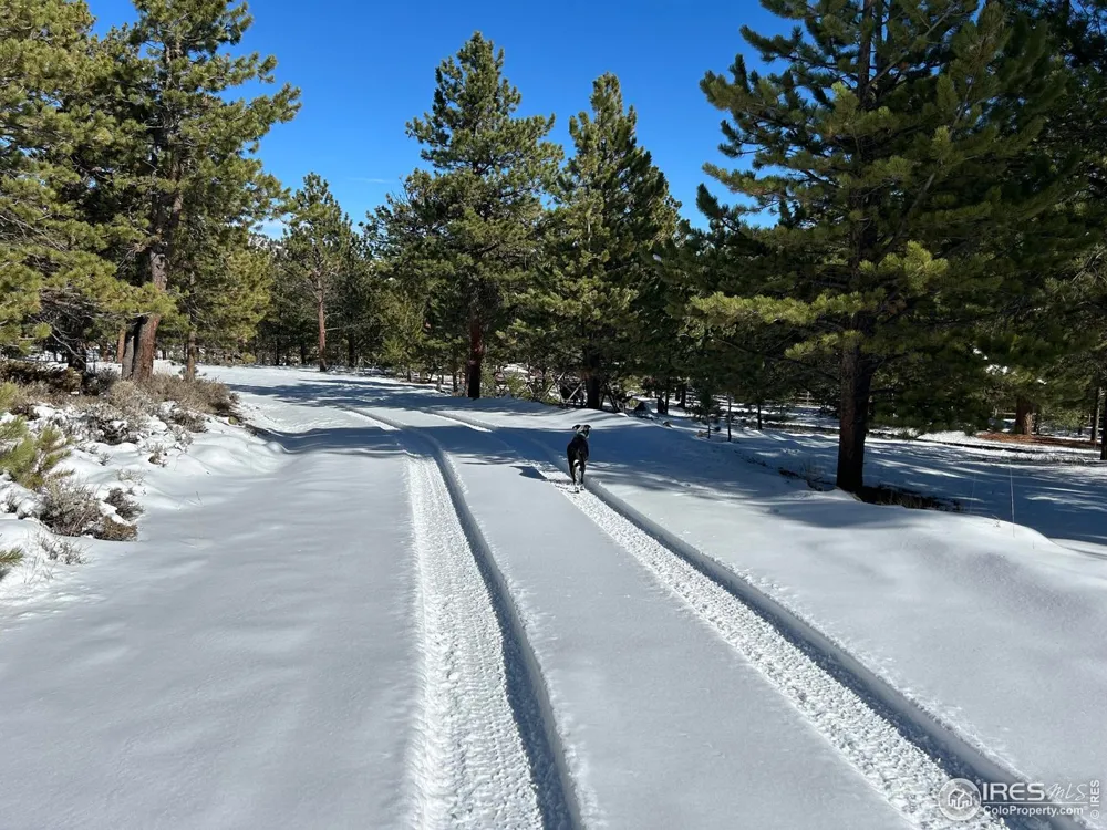 416 Comanche Circle Red Feather Lakes, CO 80545