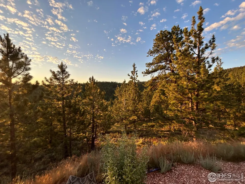416 Comanche Circle Red Feather Lakes, CO 80545