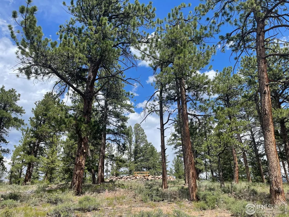416 Comanche Circle Red Feather Lakes, CO 80545