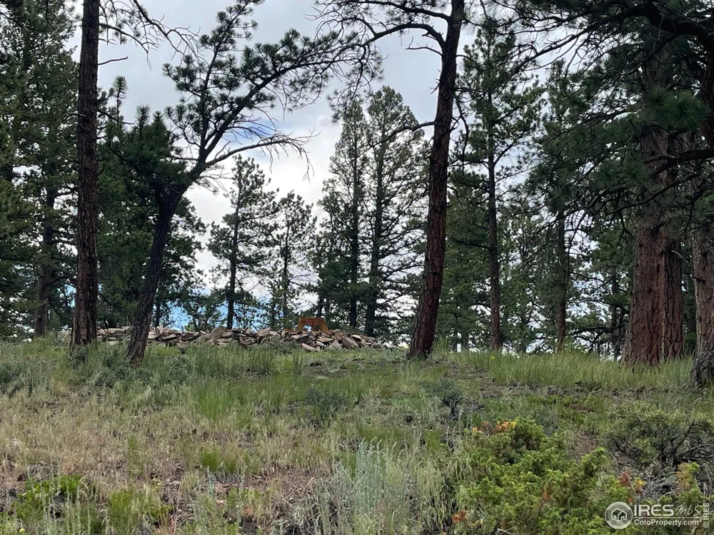 416 Comanche Circle Red Feather Lakes, CO 80545