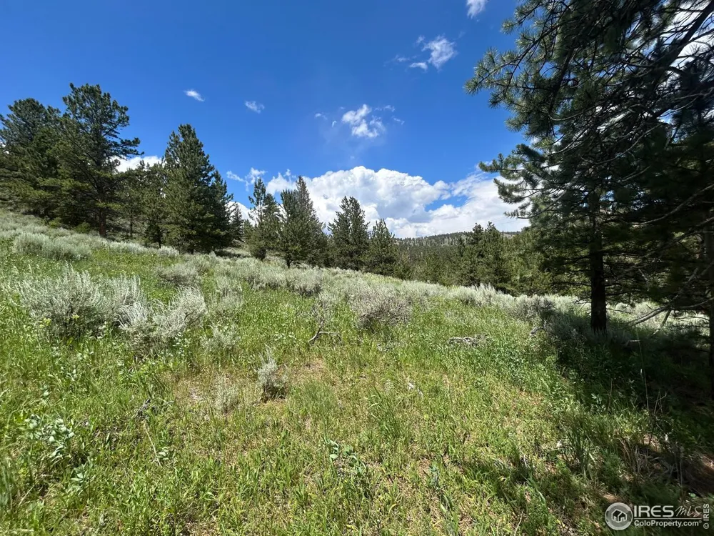 416 Comanche Circle Red Feather Lakes, CO 80545