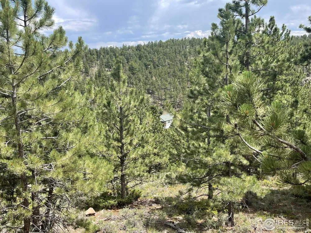 416 Comanche Circle Red Feather Lakes, CO 80545