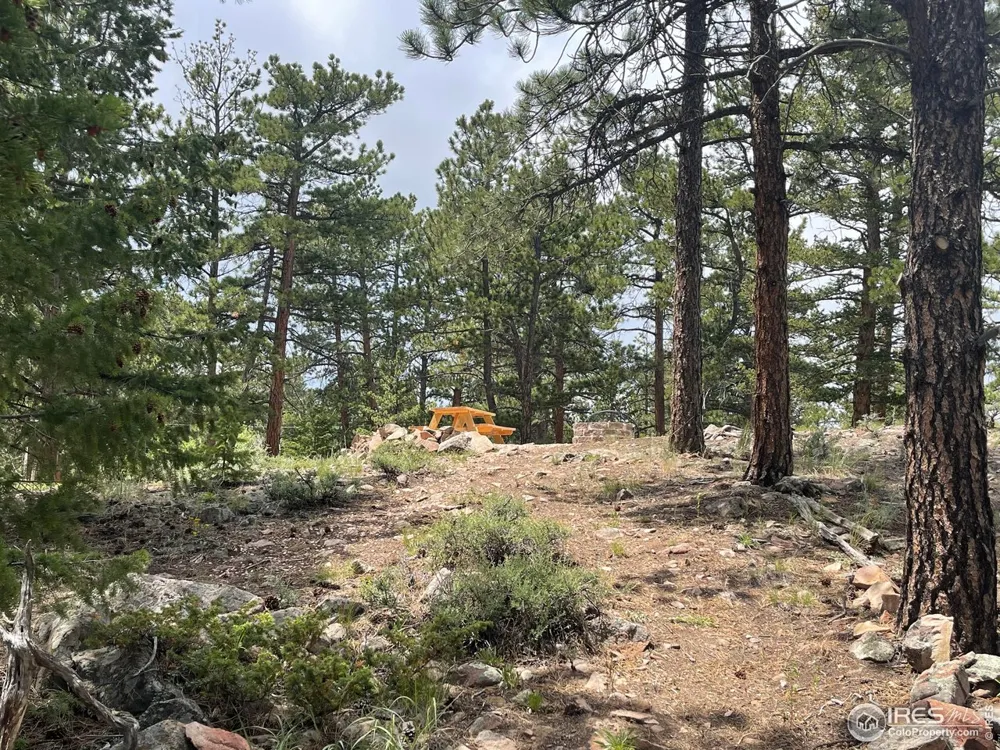 416 Comanche Circle Red Feather Lakes, CO 80545