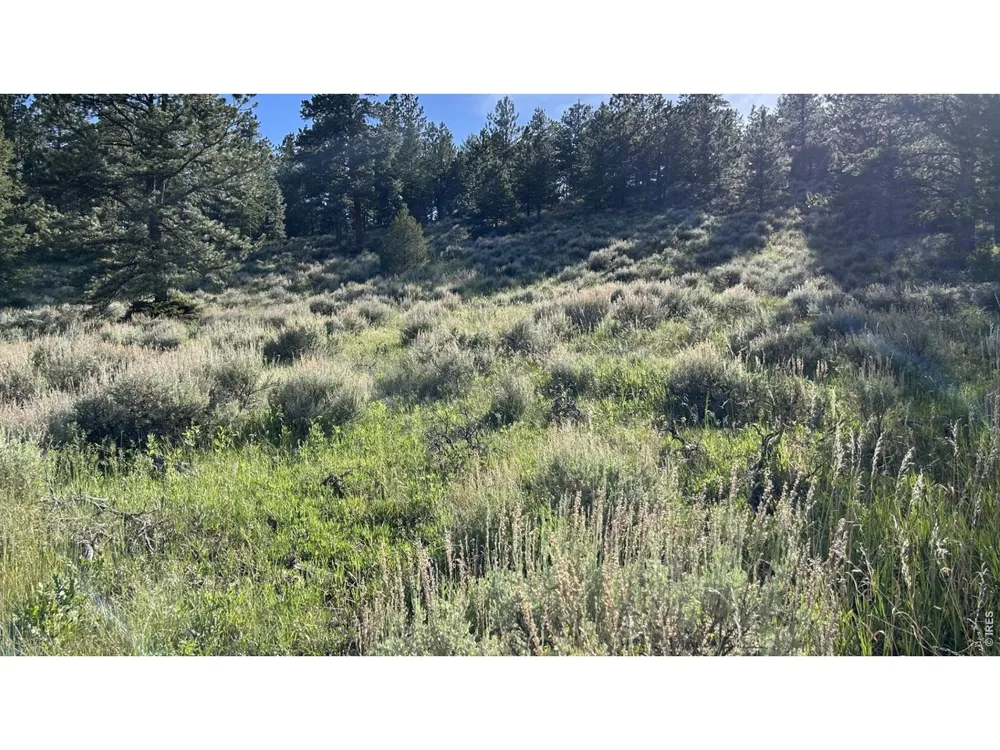 416 Comanche Circle Red Feather Lakes, CO 80545