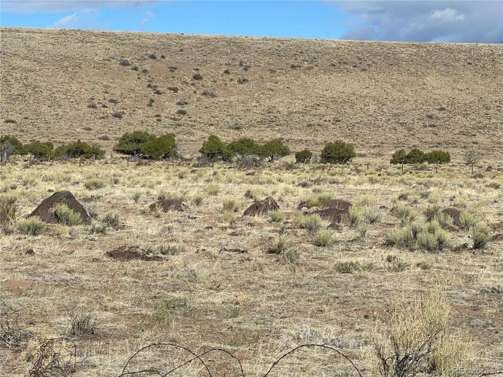 TBD Lot 2 La Jara, CO 81140