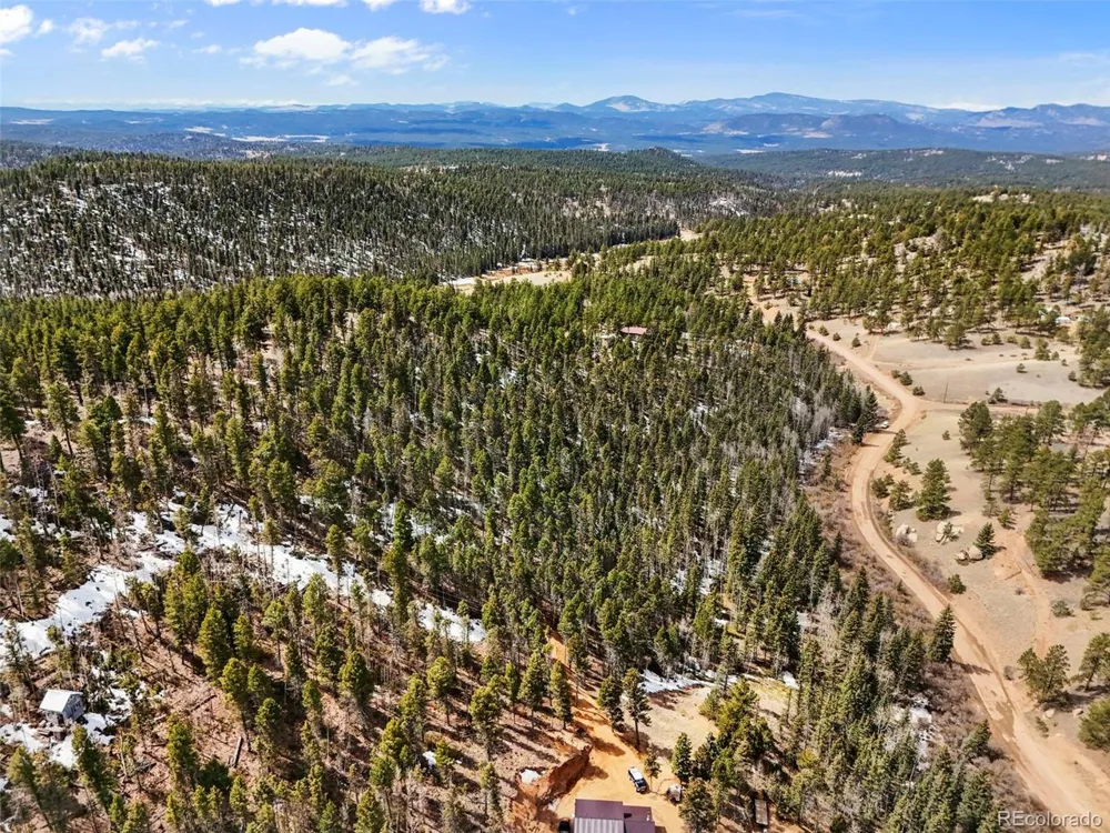 464 E Bison Creek Trail Florissant, CO 80816