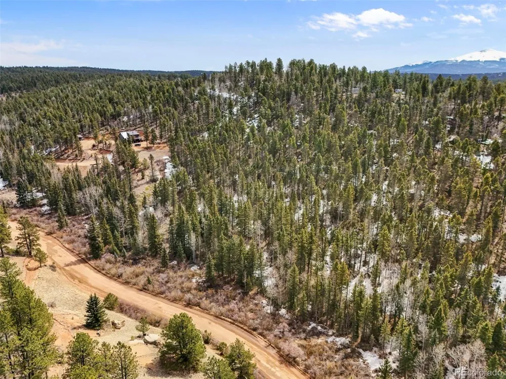 464 E Bison Creek Trail Florissant, CO 80816