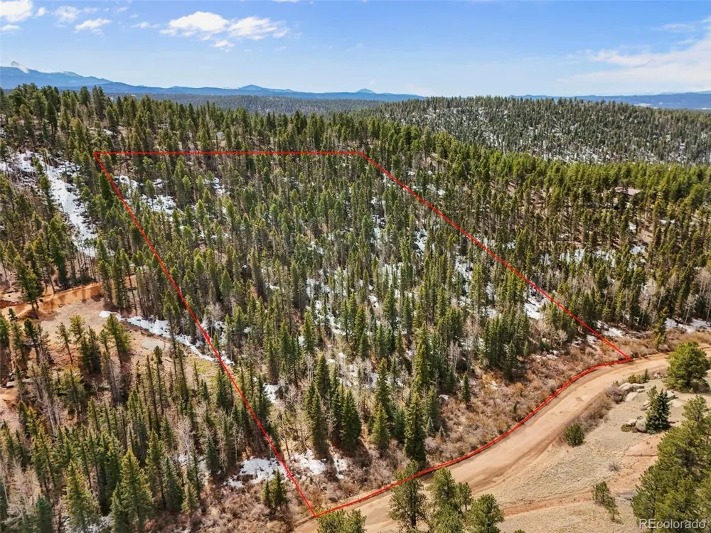 464 E Bison Creek Trail Florissant, CO 80816