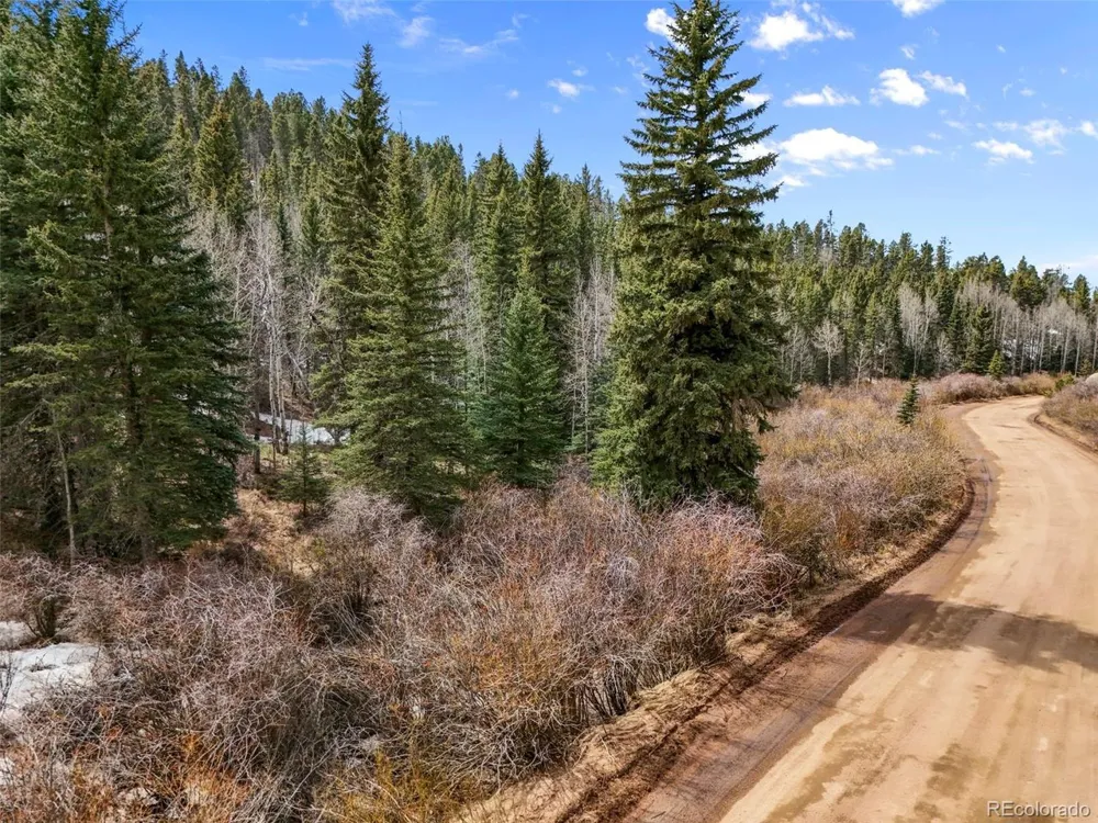 464 E Bison Creek Trail Florissant, CO 80816