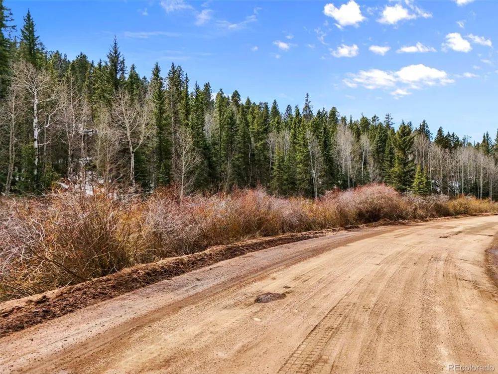 464 E Bison Creek Trail Florissant, CO 80816