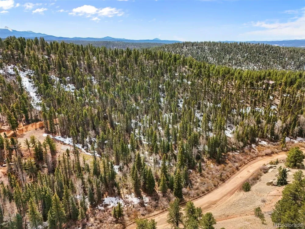 464 E Bison Creek Trail Florissant, CO 80816